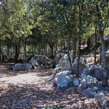 - 40629 Mallorca Pollenca